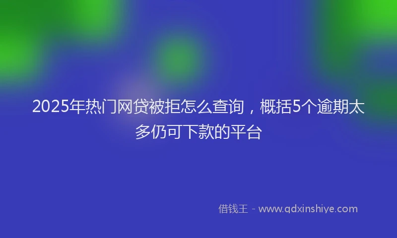 2025年热门网贷被拒怎么查询，概括5个逾期太多仍可下款的平台