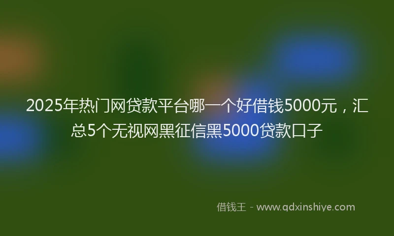 2025年热门网贷款平台哪一个好借钱5000元，汇总5个无视网黑征信黑5000贷款口子