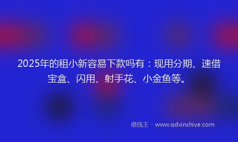 2025年的租小新容易下款吗有：现用分期、速借宝盒、闪用、射手花、小金鱼等。