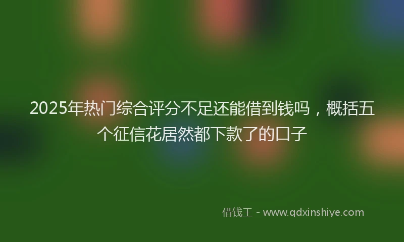 2025年热门综合评分不足还能借到钱吗，概括五个征信花居然都下款了的口子
