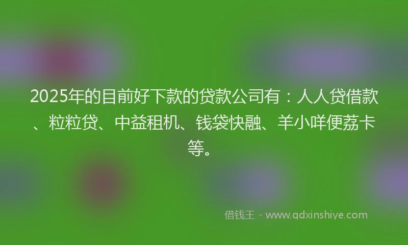 2025年的目前好下款的贷款公司有：人人贷借款、粒粒贷、中益租机、钱袋快融、羊小咩便荔卡等。