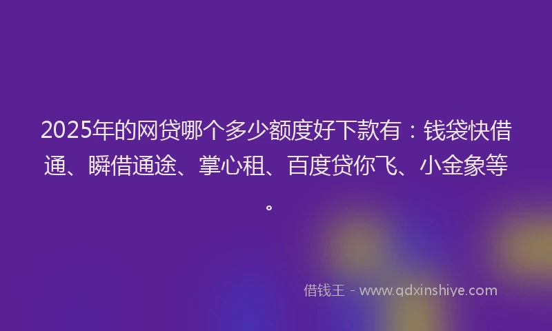 2025年的网贷哪个多少额度好下款有：钱袋快借通、瞬借通途、掌心租、百度贷你飞、小金象等。
