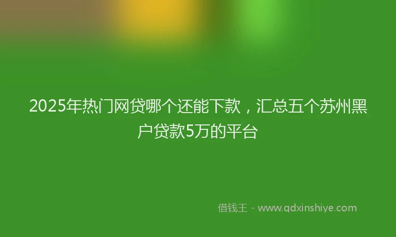 2025年热门网贷哪个还能下款，汇总五个苏州黑户贷款5万的平台