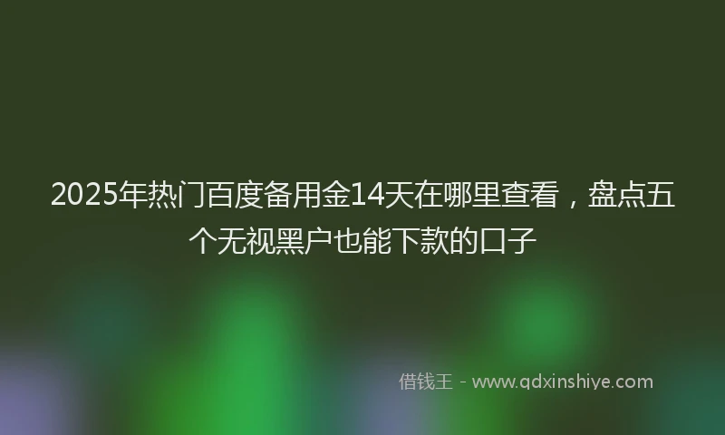 2025年热门百度备用金14天在哪里查看，盘点五个无视黑户也能下款的口子