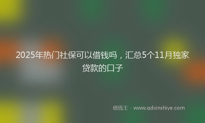 2025年热门社保可以借钱吗，汇总5个11月独家贷款的口子