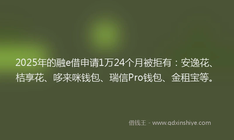 2025年的融e借申请1万24个月被拒有：安逸花、桔享花、哆来咪钱包、瑞信Pro钱包、金租宝等。