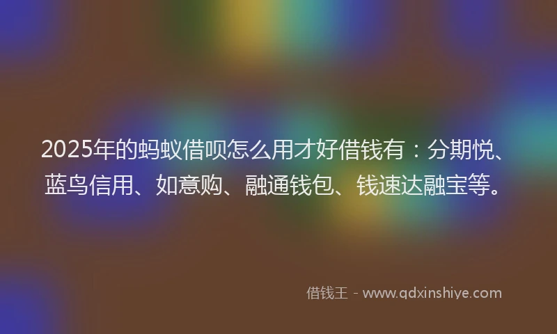 2025年的蚂蚁借呗怎么用才好借钱有：分期悦、蓝鸟信用、如意购、融通钱包、钱速达融宝等。