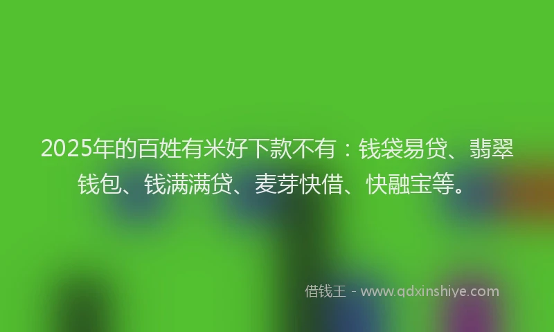 2025年的百姓有米好下款不有：钱袋易贷、翡翠钱包、钱满满贷、麦芽快借、快融宝等。