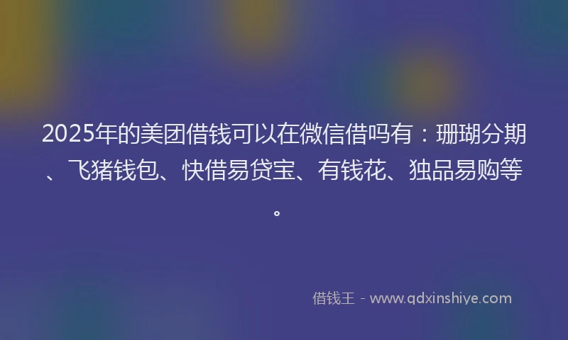 2025年的美团借钱可以在微信借吗有：珊瑚分期、飞猪钱包、快借易贷宝、有钱花、独品易购等。