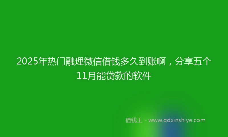 2025年热门融理微信借钱多久到账啊，分享五个11月能贷款的软件