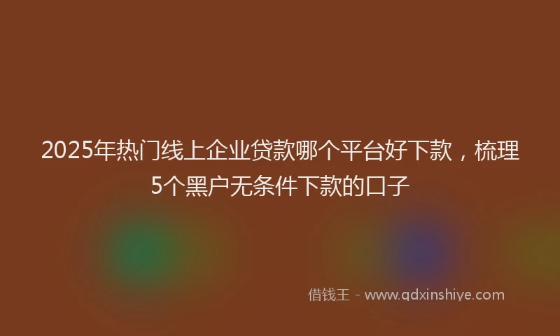 2025年热门线上企业贷款哪个平台好下款，梳理5个黑户无条件下款的口子