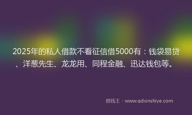 2025年的私人借款不看征信借5000有：钱袋易贷、洋葱先生、龙龙用、同程金融、迅达钱包等。