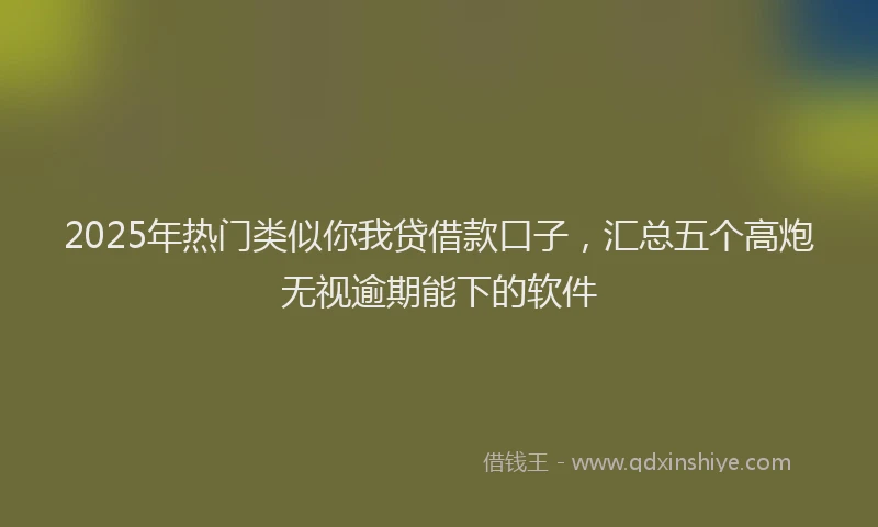 2025年热门类似你我贷借款口子，汇总五个高炮无视逾期能下的软件