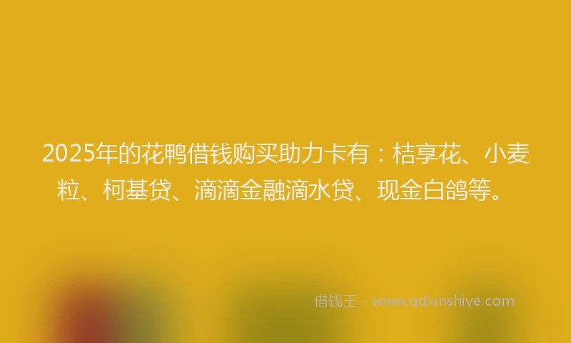 2025年的花鸭借钱购买助力卡有：桔享花、小麦粒、柯基贷、滴滴金融滴水贷、现金白鸽等。
