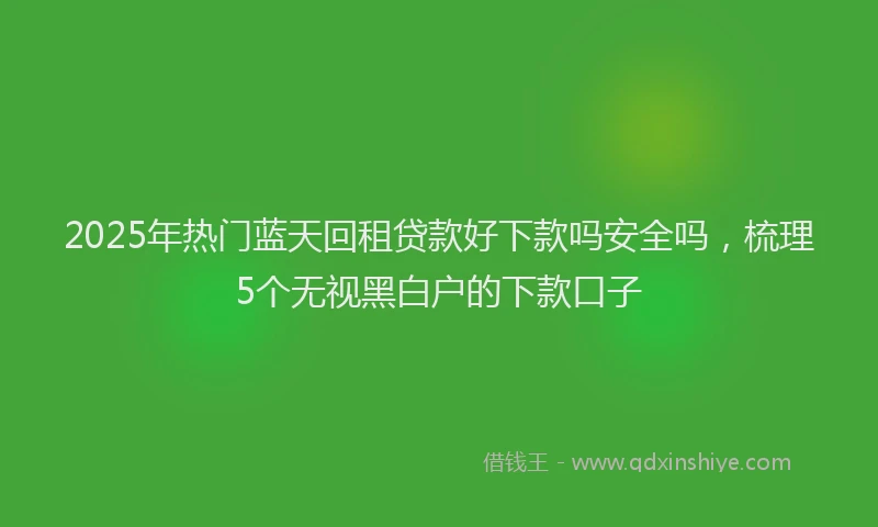 2025年热门蓝天回租贷款好下款吗安全吗，梳理5个无视黑白户的下款口子