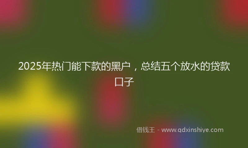 2025年热门能下款的黑户，总结五个放水的贷款口子