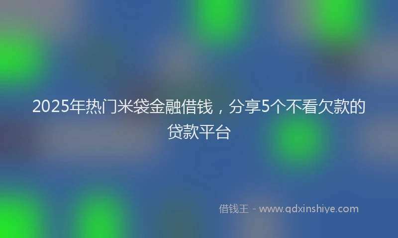 2025年热门米袋金融借钱，分享5个不看欠款的贷款平台