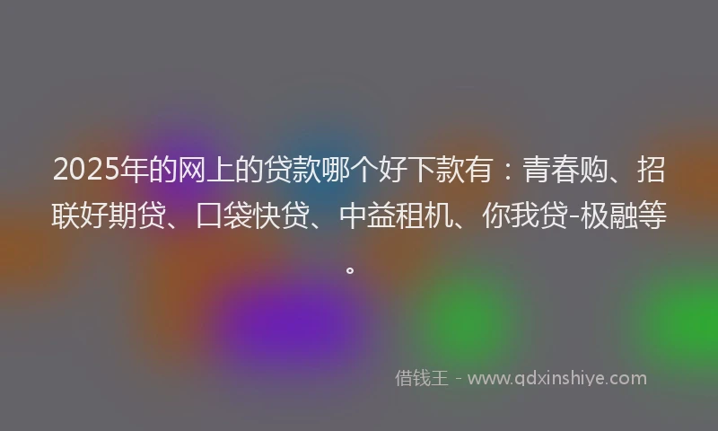 2025年的网上的贷款哪个好下款有：青春购、招联好期贷、口袋快贷、中益租机、你我贷-极融等。