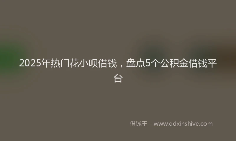 2025年热门花小呗借钱，盘点5个公积金借钱平台