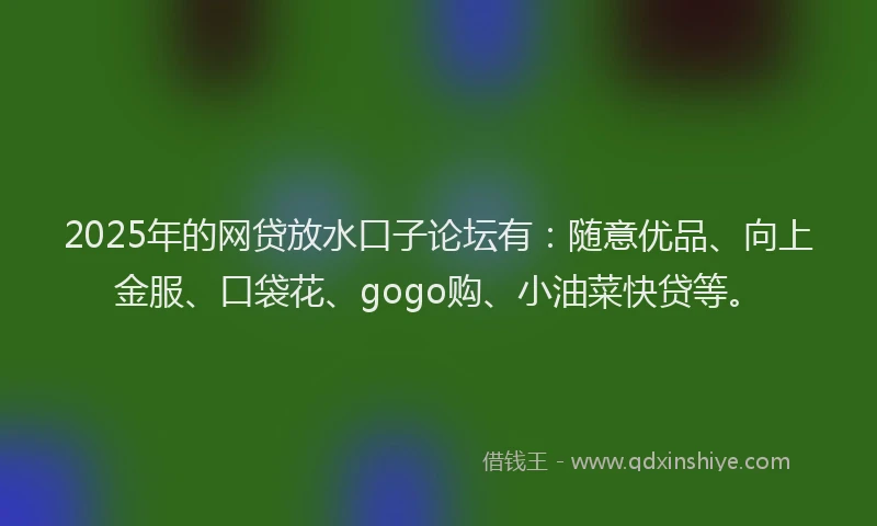 2025年的网贷放水口子论坛有：随意优品、向上金服、口袋花、gogo购、小油菜快贷等。
