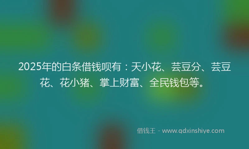 2025年的白条借钱呗有：天小花、芸豆分、芸豆花、花小猪、掌上财富、全民钱包等。