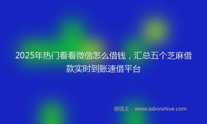 2025年热门看看微信怎么借钱，汇总五个芝麻借款实时到账速借平台