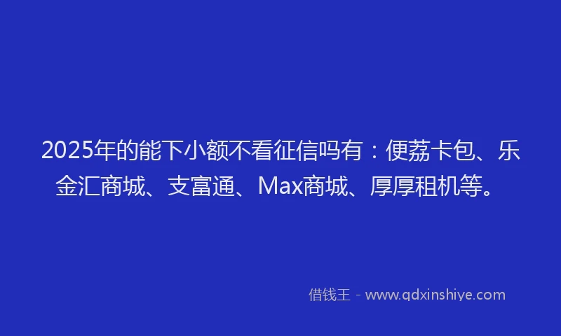 2025年的能下小额不看征信吗有：便荔卡包、乐金汇商城、支富通、Max商城、厚厚租机等。
