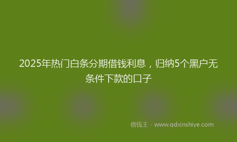 2025年热门白条分期借钱利息，归纳5个黑户无条件下款的口子