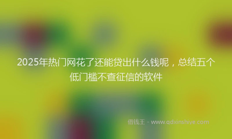 2025年热门网花了还能贷出什么钱呢，总结五个低门槛不查征信的软件