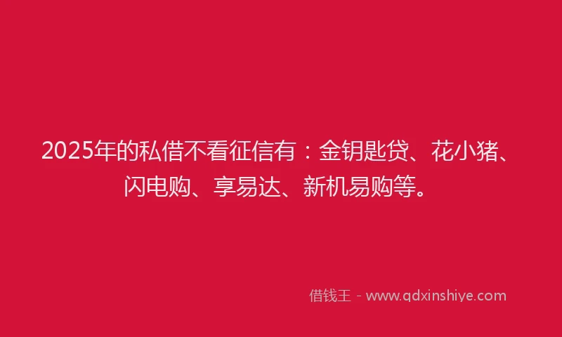 2025年的私借不看征信有：金钥匙贷、花小猪、闪电购、享易达、新机易购等。