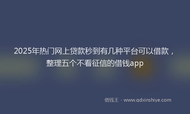 2025年热门网上贷款秒到有几种平台可以借款，整理五个不看征信的借钱app