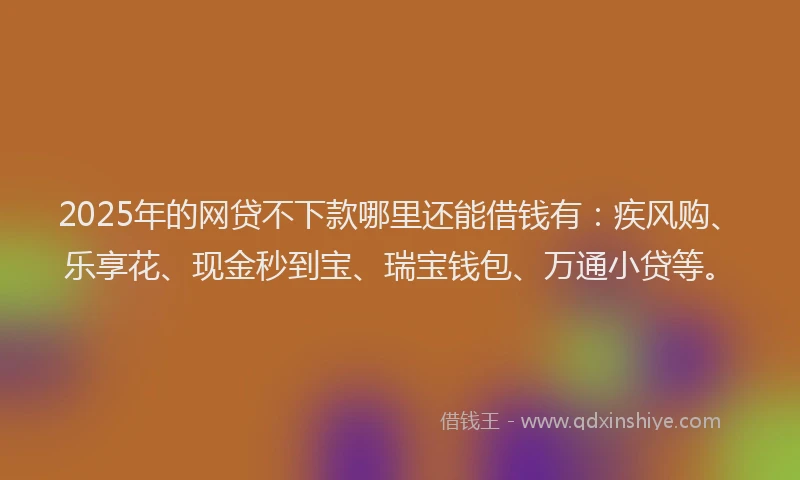 2025年的网贷不下款哪里还能借钱有：疾风购、乐享花、现金秒到宝、瑞宝钱包、万通小贷等。