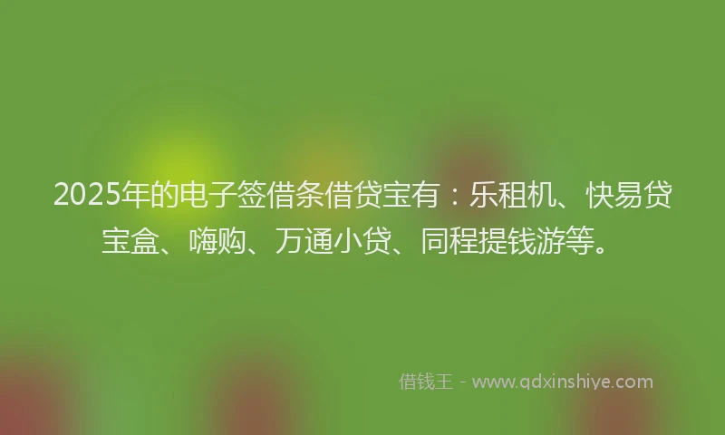 2025年的电子签借条借贷宝有：乐租机、快易贷宝盒、嗨购、万通小贷、同程提钱游等。