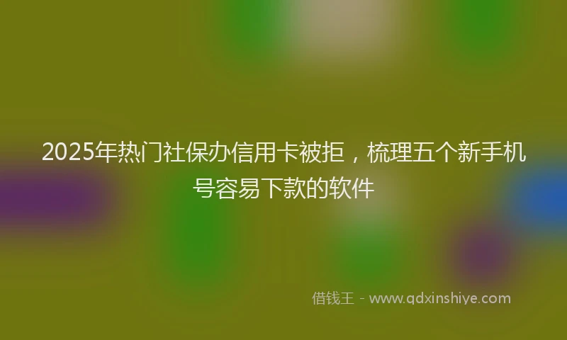 2025年热门社保办信用卡被拒，梳理五个新手机号容易下款的软件
