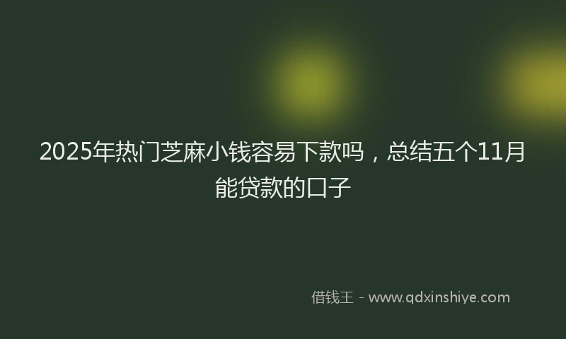 2025年热门芝麻小钱容易下款吗，总结五个11月能贷款的口子