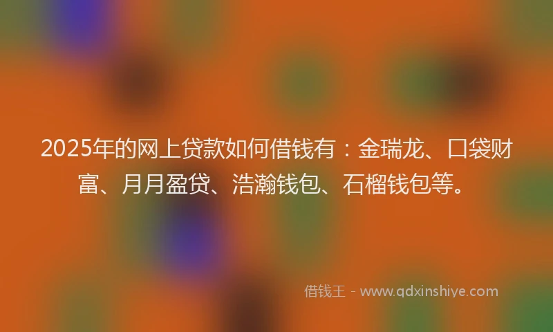 2025年的网上贷款如何借钱有：金瑞龙、口袋财富、月月盈贷、浩瀚钱包、石榴钱包等。