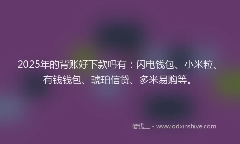 2025年的背账好下款吗有：闪电钱包、小米粒、有钱钱包、琥珀信贷、多米易购等。