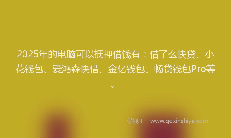 2025年的电脑可以抵押借钱有：借了么快贷、小花钱包、爱鸿森快借、金亿钱包、畅贷钱包Pro等。