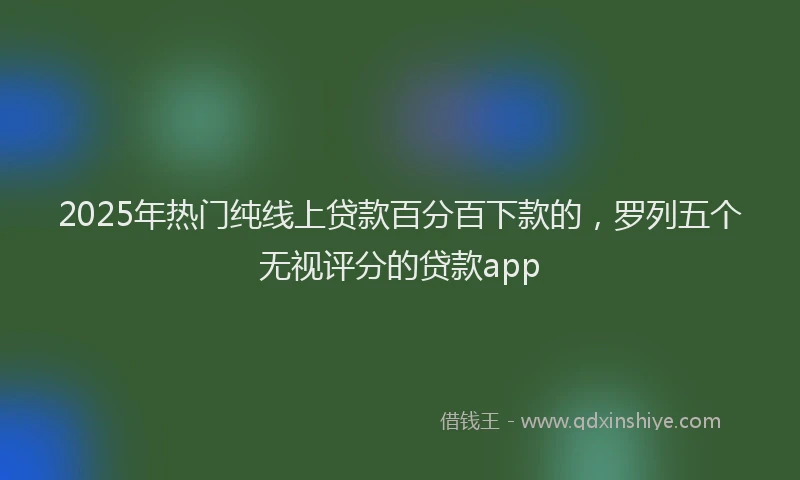 2025年热门纯线上贷款百分百下款的，罗列五个无视评分的贷款app