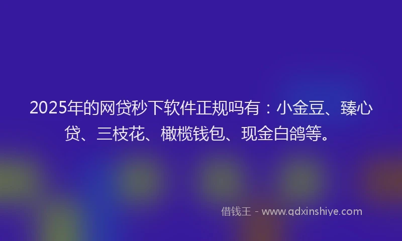 2025年的网贷秒下软件正规吗有：小金豆、臻心贷、三枝花、橄榄钱包、现金白鸽等。