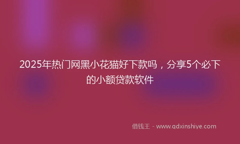 2025年热门网黑小花猫好下款吗，分享5个必下的小额贷款软件