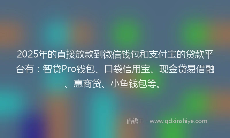 2025年的直接放款到微信钱包和支付宝的贷款平台有：智贷Pro钱包、口袋信用宝、现金贷易借融、惠商贷、小鱼钱包等。