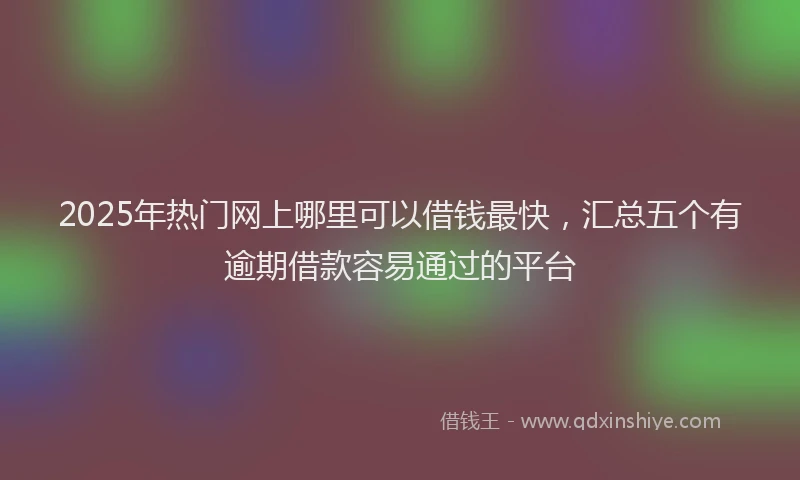 2025年热门网上哪里可以借钱最快，汇总五个有逾期借款容易通过的平台