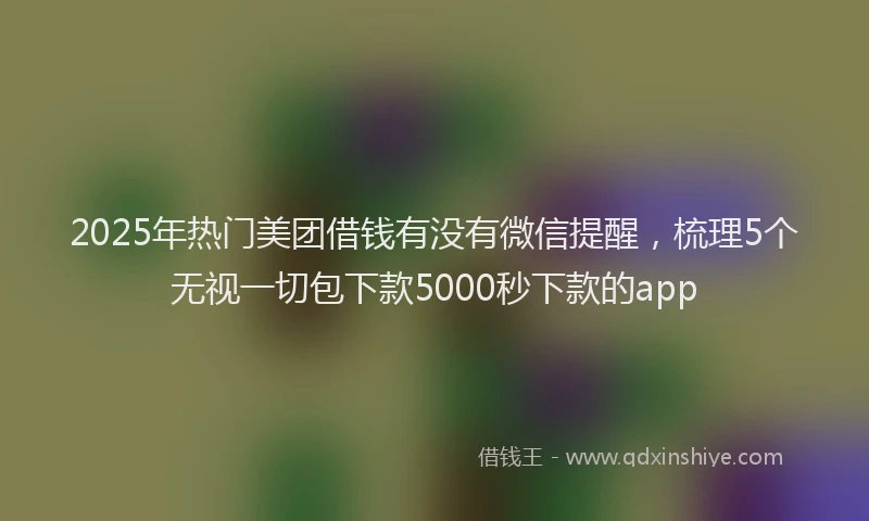 2025年热门美团借钱有没有微信提醒，梳理5个无视一切包下款5000秒下款的app