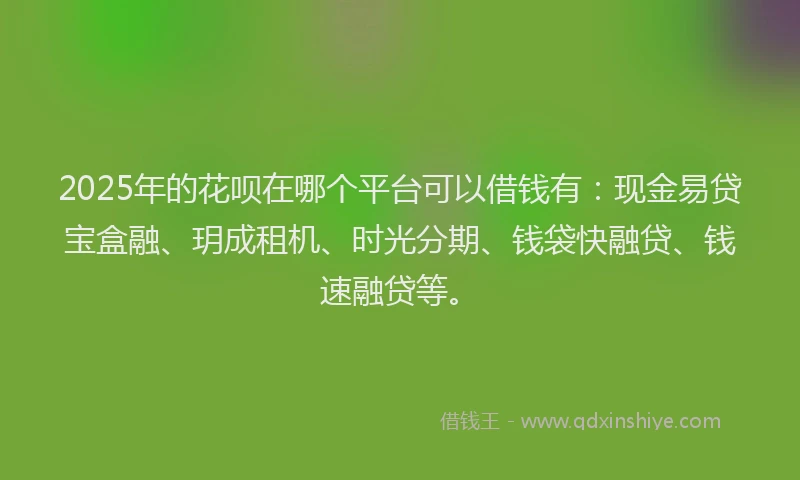 2025年的花呗在哪个平台可以借钱有：现金易贷宝盒融、玥成租机、时光分期、钱袋快融贷、钱速融贷等。