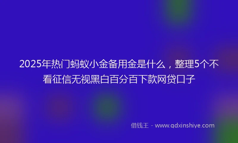 2025年热门蚂蚁小金备用金是什么，整理5个不看征信无视黑白百分百下款网贷口子