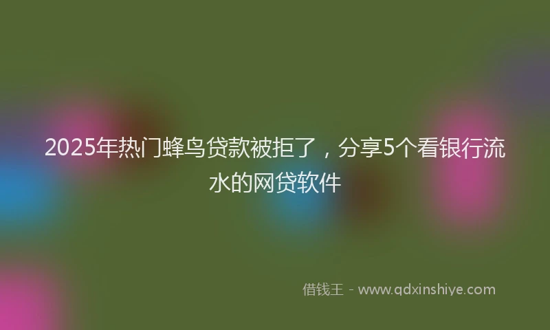 2025年热门蜂鸟贷款被拒了，分享5个看银行流水的网贷软件