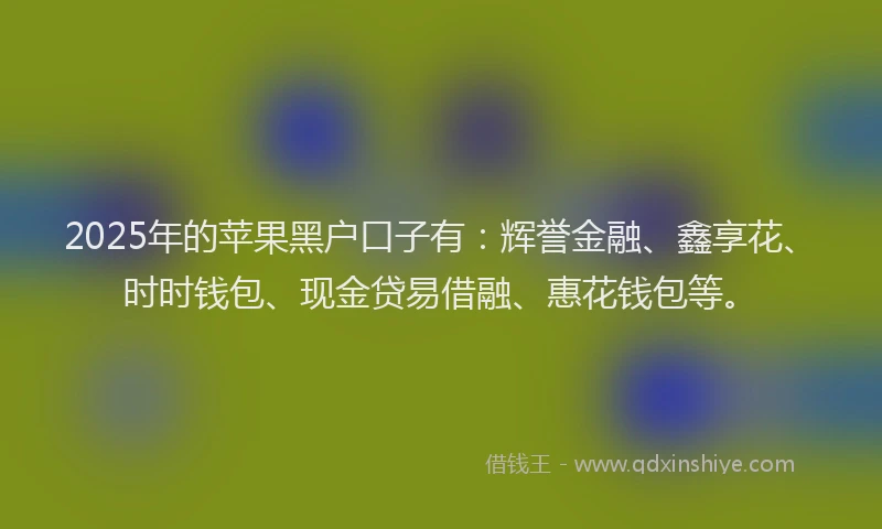 2025年的苹果黑户口子有：辉誉金融、鑫享花、时时钱包、现金贷易借融、惠花钱包等。
