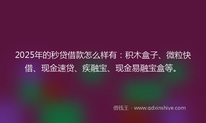 2025年的秒贷借款怎么样有：积木盒子、微粒快借、现金速贷、疾融宝、现金易融宝盒等。