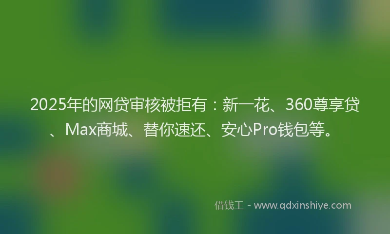 2025年的网贷审核被拒有：新一花、360尊享贷、Max商城、替你速还、安心Pro钱包等。